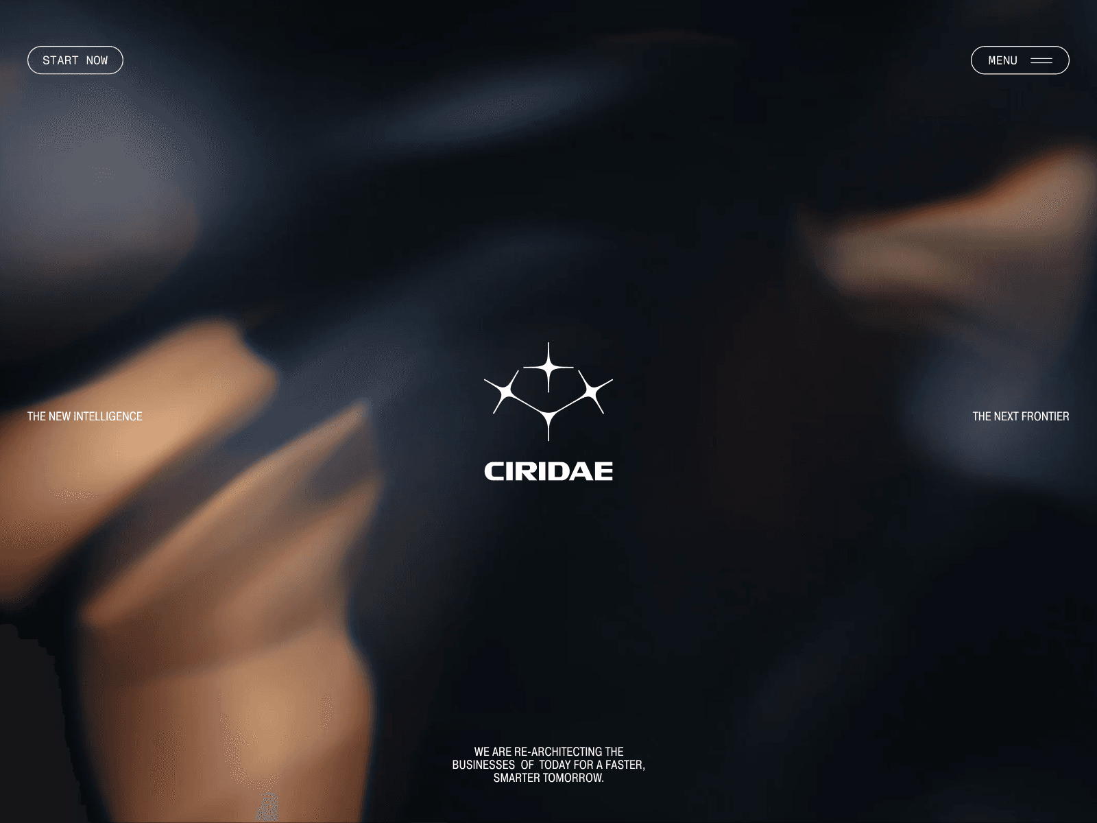 CIRIDAE Website